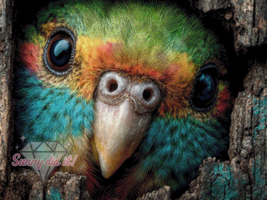 Hello Kakapo by CaroFelicia 80x60cm 150 Farben