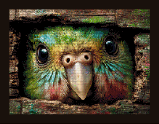 Kakapo by CaroFelicia 60x45cm 140 Farben