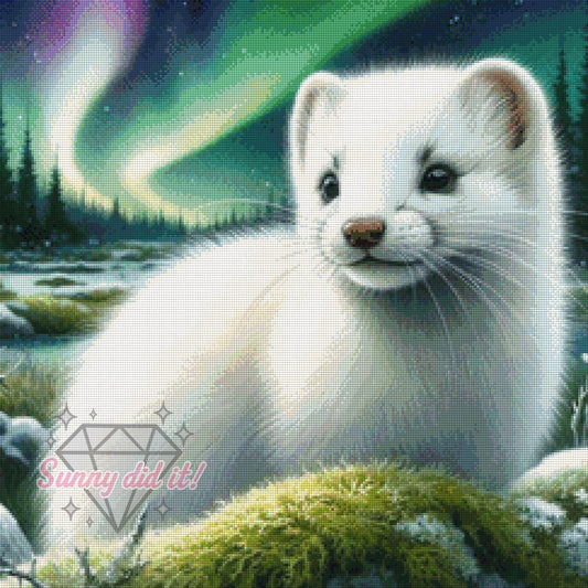 Hermelin by Kaira KI Art 60x60cm 125 Farben